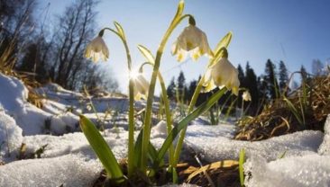 Прогноз погоди в Україні на 1 березня: теплом та туманом